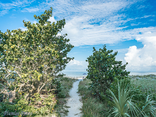 On Beach Indian Rocks Vacation Condo Two Bedrooms